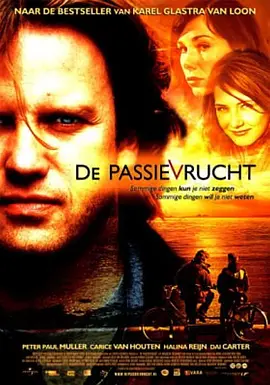 暴躁老大妈40集全免费播放百度网盘